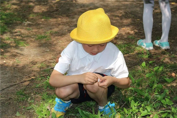 556ea5a1a8173.jpg QQ图片20150602114312.jpg