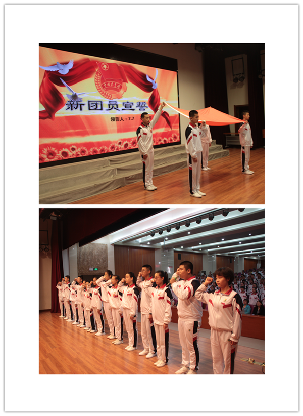 10 只要下面那张照片.png