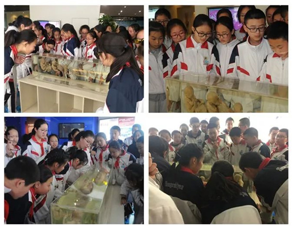 5add285654329.jpg 2.jpg